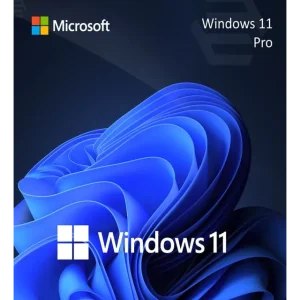 Windows 11 Pro promotional image featuring the Microsoft logo, the Windows 11 name, and a swirling blue abstract design in the background.